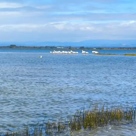 Dom wakacyjny Sixtynine Torreira