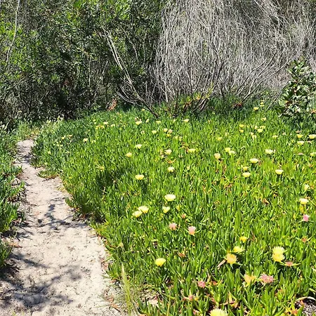 Sixtynine Dom wakacyjny