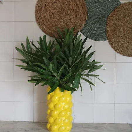 Sixtynine * Torreira