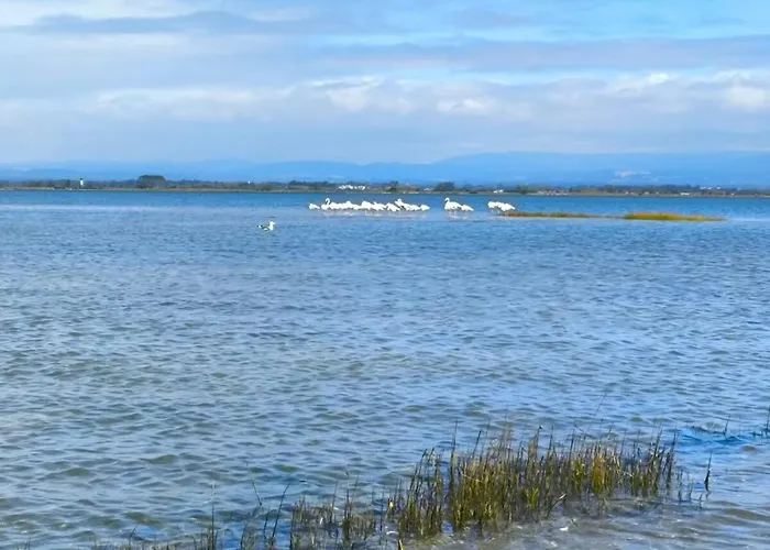 別荘 Sixtynine トレイラ