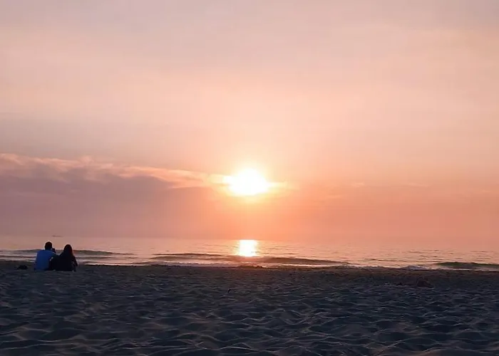 Sixtynine * Torreira