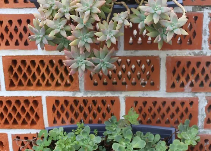 Sixtynine トレイラ