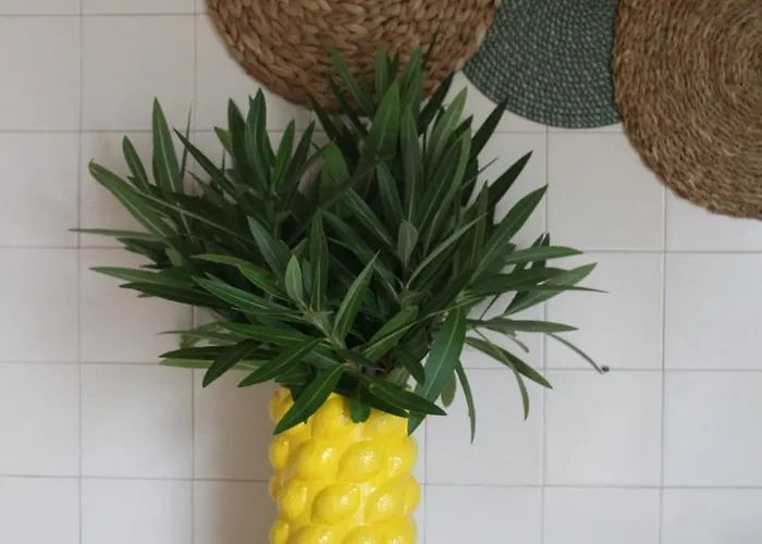 Sixtynine * Torreira